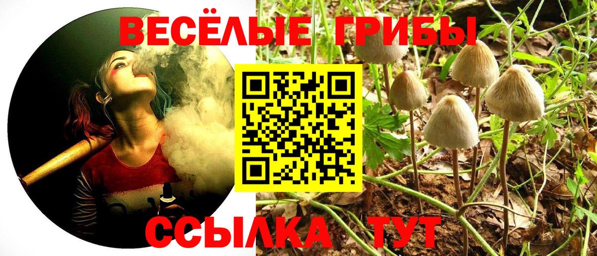 Галлюциногенные грибы мицелий Еманжелинск