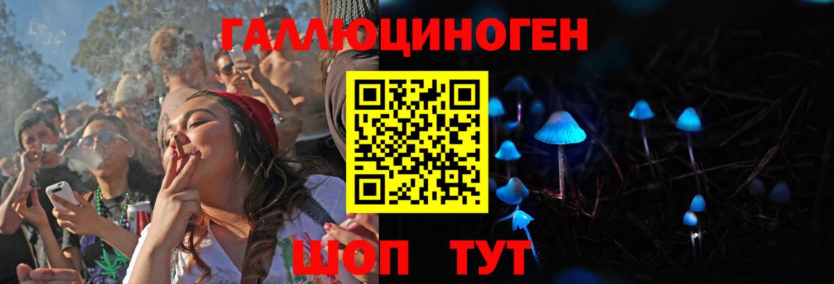 Псилоцибиновые грибы Cubensis  Вход с VPN  Еманжелинск 